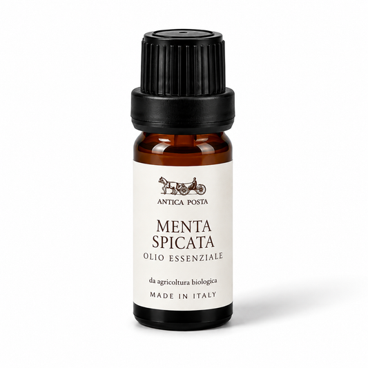 In arrivo - Olio essenziale di menta spicata